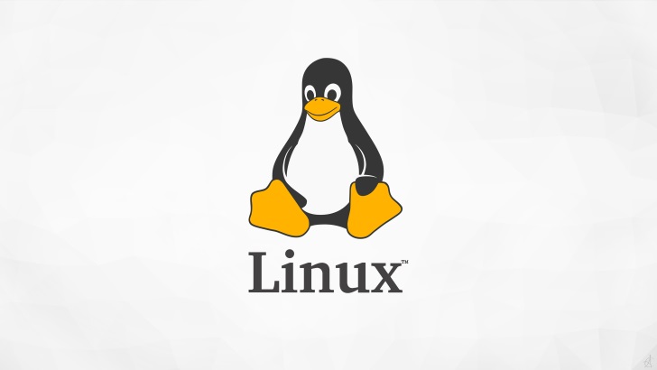 Linux磁盘扩容后的挂载方法